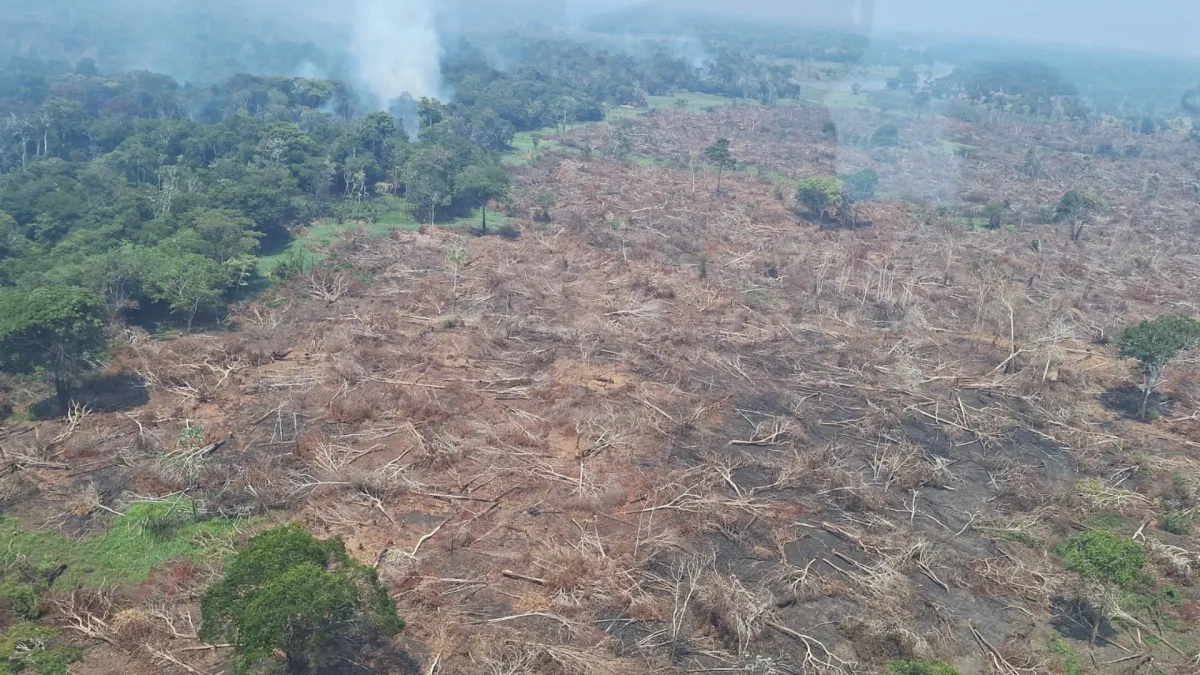 Governo federal libera R$ 3,5 milhões para cidades afetadas por incêndios no Amazonas